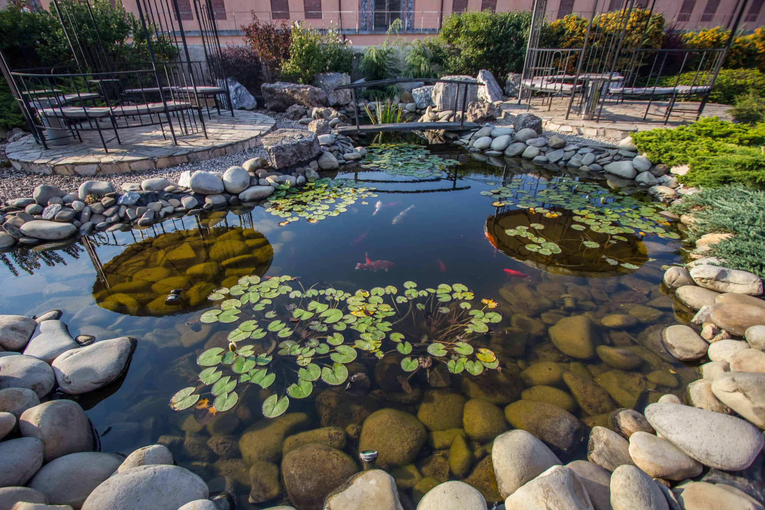 nine-different-types-of-ponds-for-your-garden-scaled-1